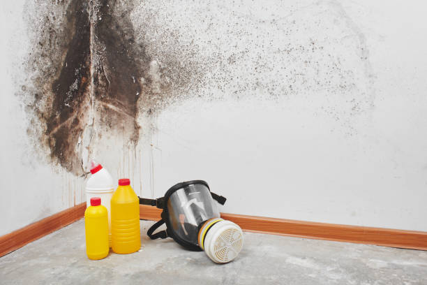 Mold Testing and Removal in Cleveland, OK