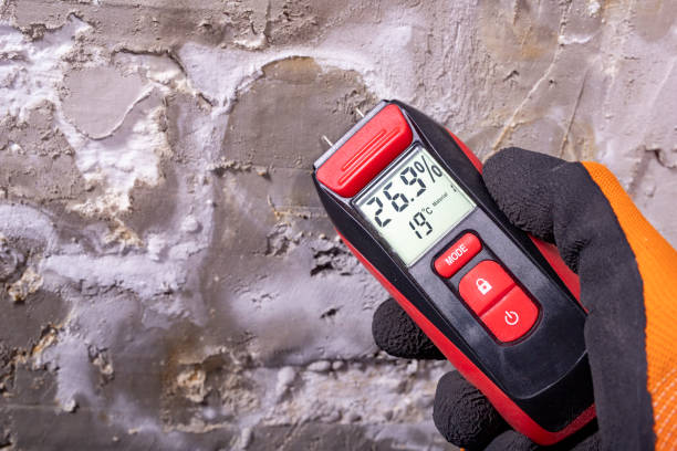 Best Home Mold Removal  in Cleveland, OK