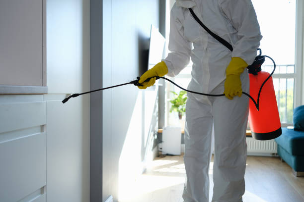 Best Mold Testing  in Cleveland, OK