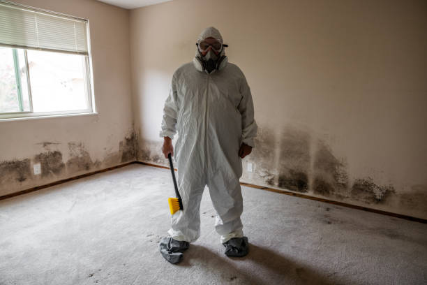 Best Commercial Mold Removal  in Cleveland, OK